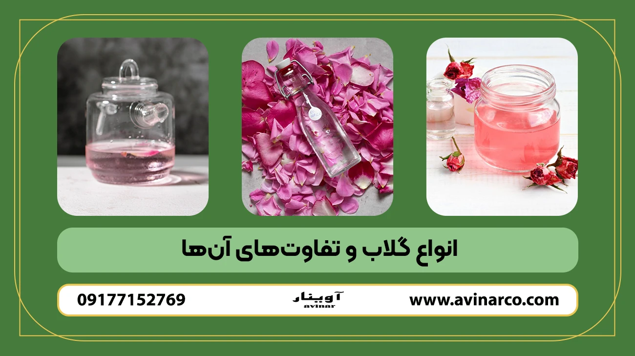 انواع گلاب و تفاوتهای آنها