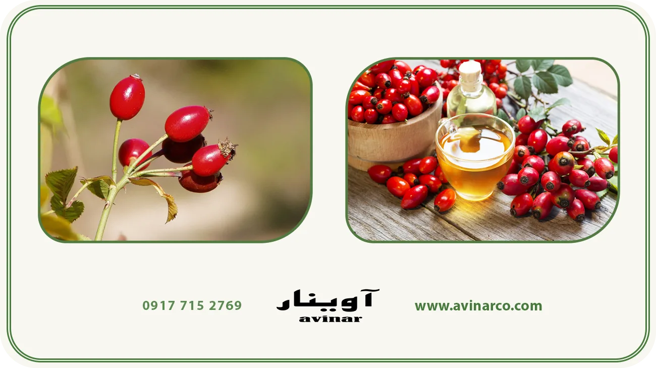 خرید عرق نسترن