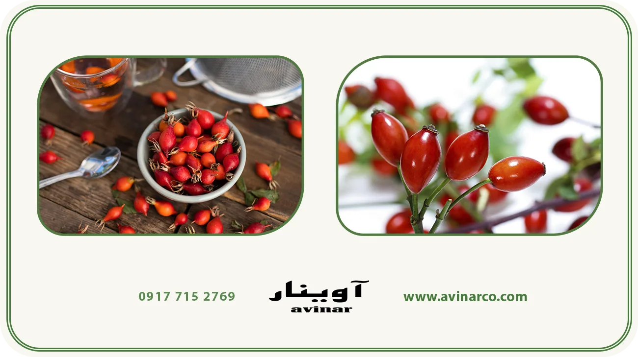 خرید عرق نسترن